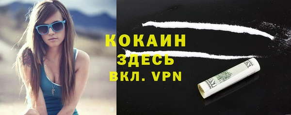 apvp Михайлов