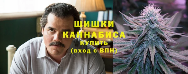 apvp Михайлов