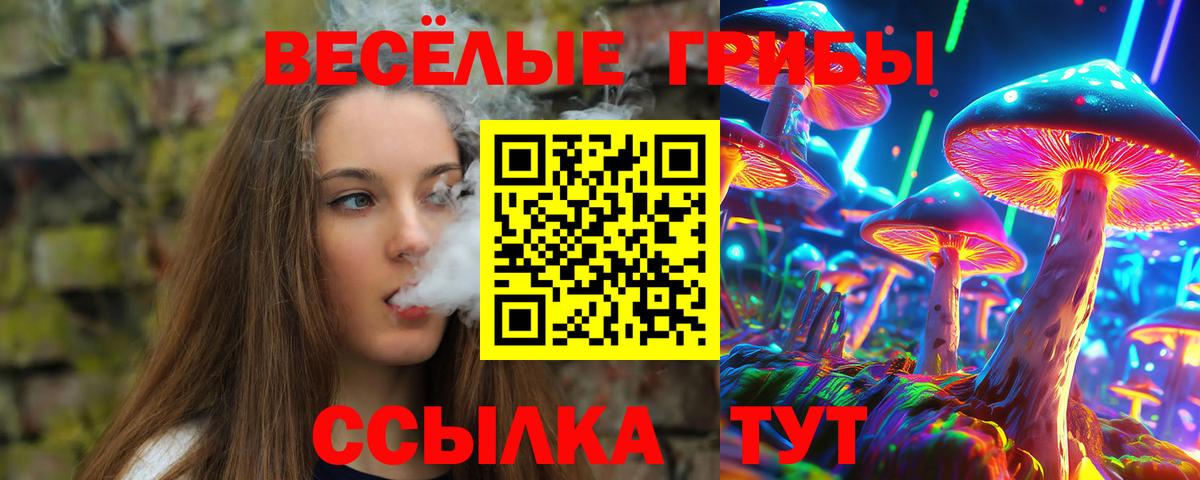 Псилоцибиновые грибы Cubensis Урус-Мартан