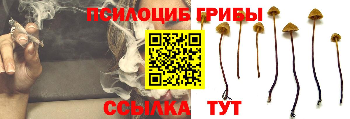 Псилоцибиновые грибы ЛСД  Псилоцибиновые грибы прущие грибы  Урус-Мартан  Вход с VPN 